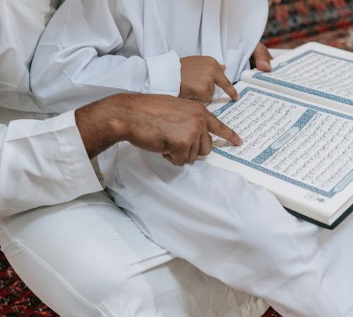 pexels-photo-9127603[1]